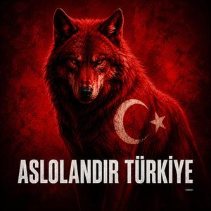 ASLOLANDIR TÜRKİYE