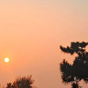 关于夏天黄昏的幻想