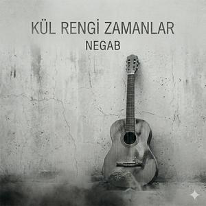Kül Rengi Zamanlar