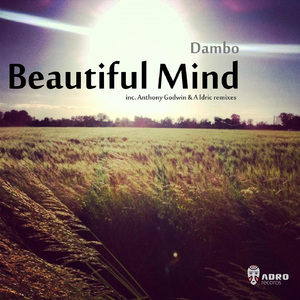 Beautiful Mind (A Ldric Remix)