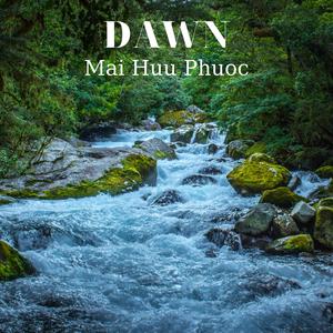 Dawn