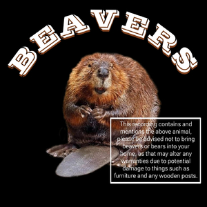 Beavers
