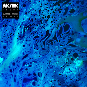 Feeds (Snapped Ankles Chestnutt Forest Feeds Remix)