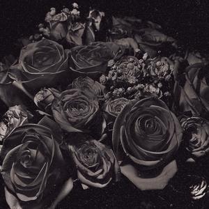 Burn (feat. Moe Pope, Skyzoo & Termanology)