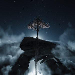 A Delicate Revolution (Rework)