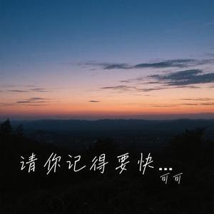 请你记得要快乐 (Cover 王佳音)