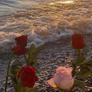 天空又是什么颜色