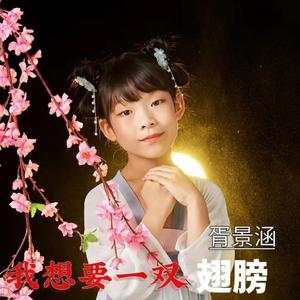 我想要一双翅膀