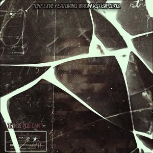 Things You Can't (feat. Birdma$terflexxx)