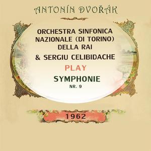 Symphonie Nr. 9, B 178 E Minor, Op. 95: Largo