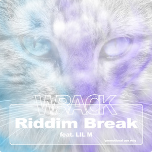 Riddim Break