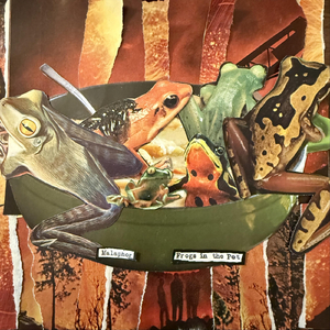 Frogs in the Pot