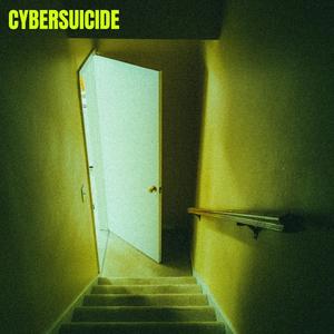 cybersuicide