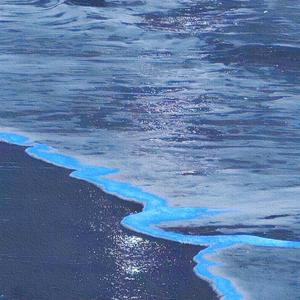 Sunflower feelings (BGM)