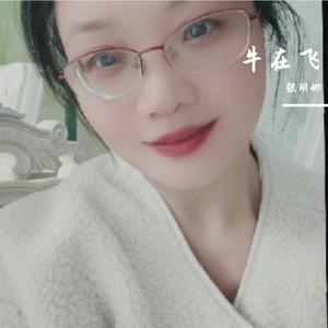牛在飞