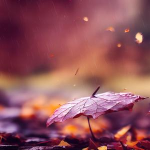 Yesterday Once More Piano