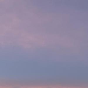 BAPESTA（DF made）