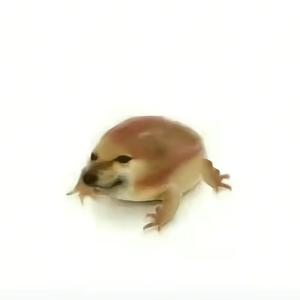 我的刀盾（纯享洗脑）