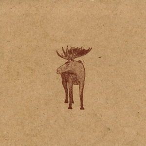 I Should Have Been Watching You