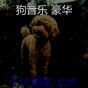 阳光明媚(音乐)