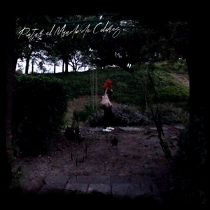 Pintar el Mundo de Colores