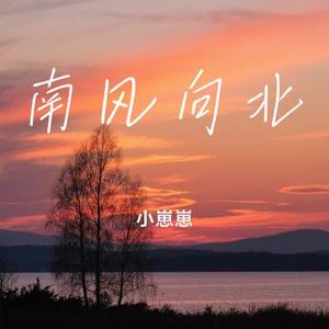 南风向北 (Cover 李里梨)