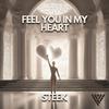 Steek - Feel You (In My Heart)