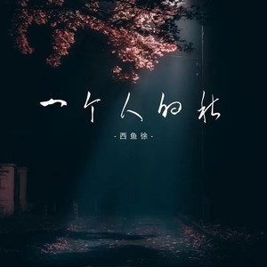 一个人的秋(DJ版)