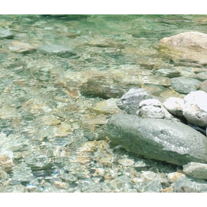 甘い香りと甘い誘い