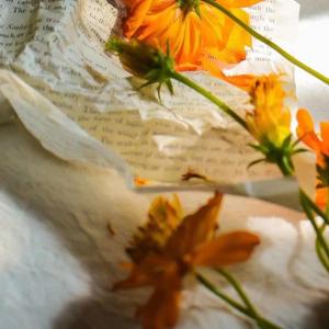 如此（cover 单依纯）