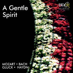 Concerto for 2 Violins, Strings, Basso Continuo and Orchestra in D minor, BWV 1043 : II. Largo ma non tanto