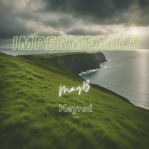 Impermeable (Remix)