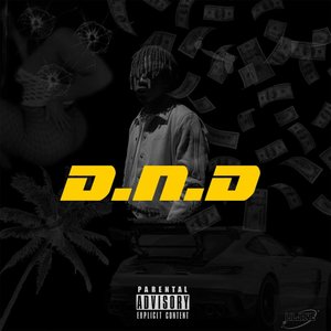 D.N.D.