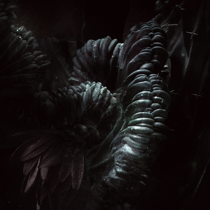 Lucifer's Calling