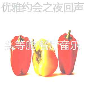 优美约会之夜器乐