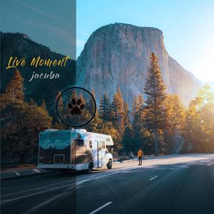 Live Moment
