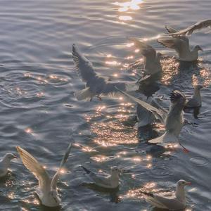 杂（Prod MoonVibe Beatz&Lill Siren）