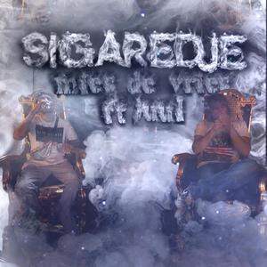 Sigaredje (feat. Juul, Màvcase, Neon & Benito) (Remix)