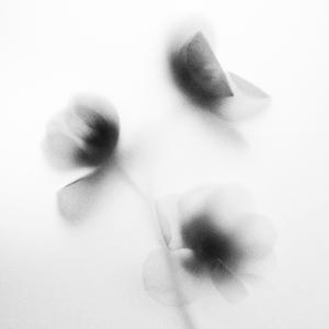 afsos (slowed + reverb)