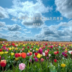 你在花花世界欣然接受众生的青睐