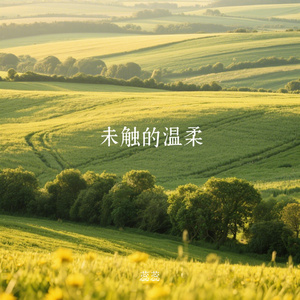 未触的温柔