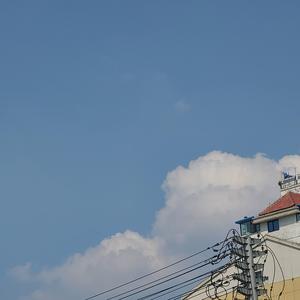 撒野（翻自 王巨星）