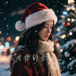 没有你的圣诞夜