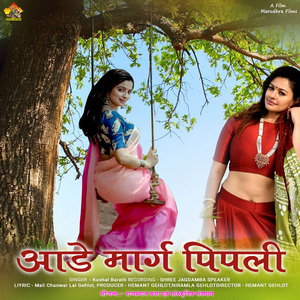 Aade Marg Pipali