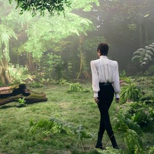 第二个十年-凌晨一点不睡的暴躁苞