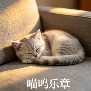 小猫的呼噜