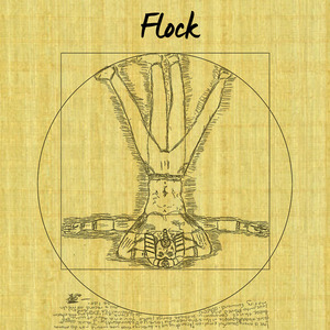 Flock