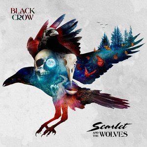 Black Crow