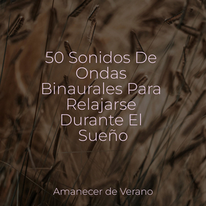 El Melódico Zumbido del Crepúsculo