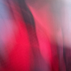 Royalrumbkeexstendo (feat. Datkidree, Sage jay, Wrld peace & Fnf Ace)